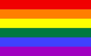 obrázek - 777px_Gay_flag.jpg