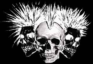 http://www.punk.cz/data/USR_061_DEFAULT/skulls.jpg