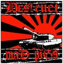 Evropská verze Global Resistance split CD