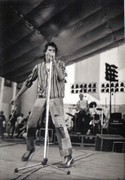 Die Toten Hosen