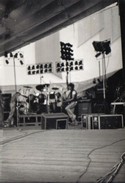 Die Toten Hosen
