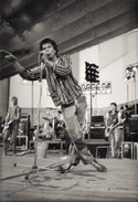 Die Toten Hosen