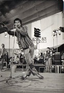 Die Toten Hosen