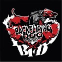 Backfliping Dog (BFD): Prvn ofiko videoklip