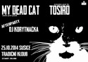 My dead cat, Tosiro, + DJ Korytnaka