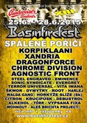 Basinfirefest