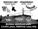 Birthday Skateboard Party