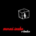Marná snaha